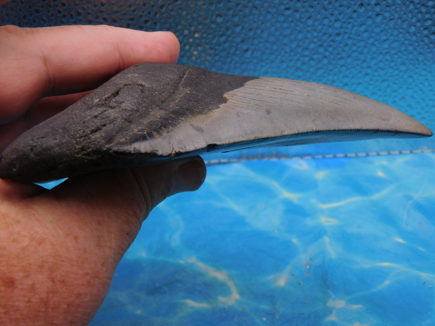 Massive 5.92 in MEG