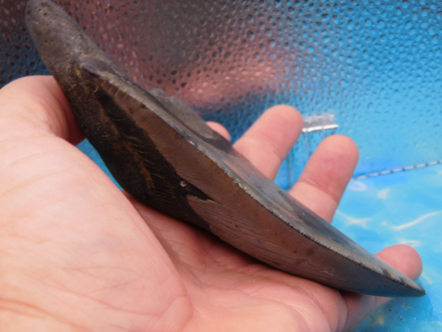 Massive 5.92 in MEG