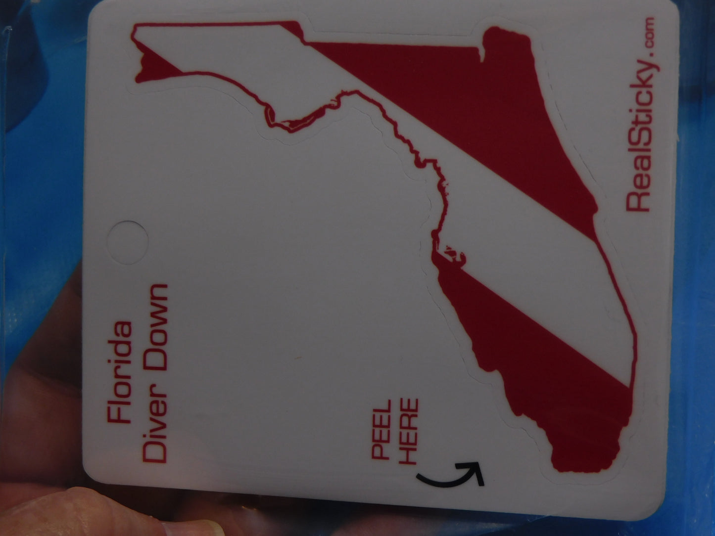 Florida State Dive Sticker
