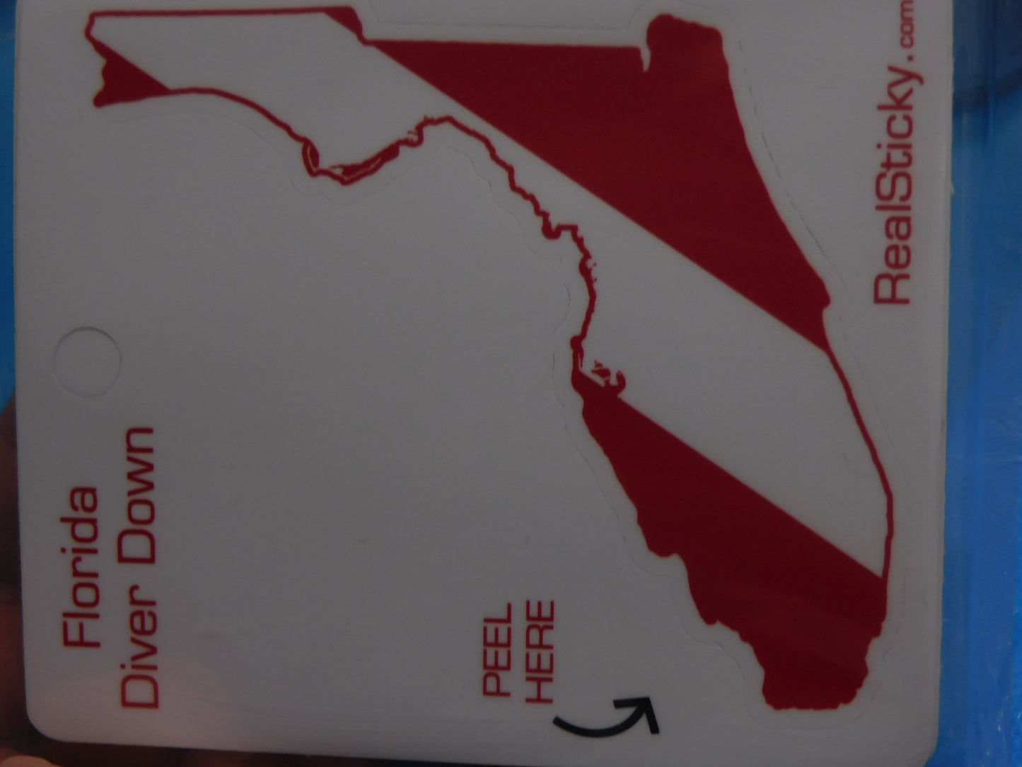 Florida State Dive Sticker