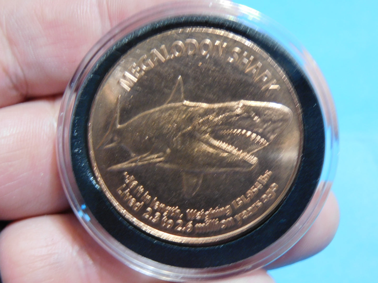 Megalodon Tooth Copper Coin