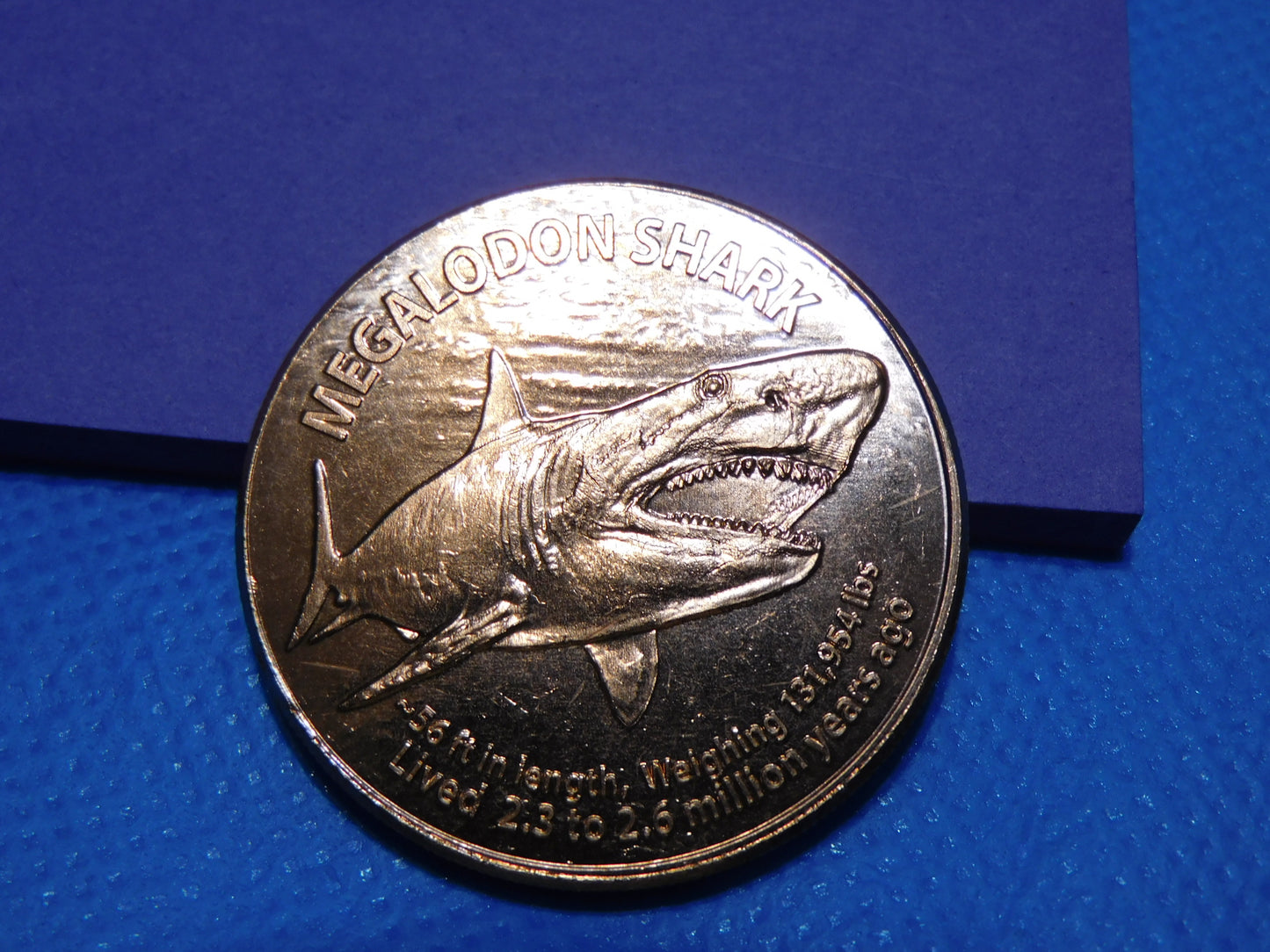 Megalodon Copper Coin