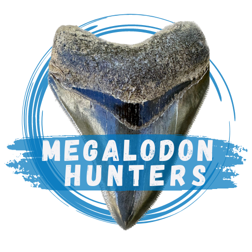 Megalodon Hunters